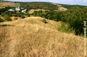 Vedere spre Mănăstirea Dobrușa, defileu și pădurea-rezervație