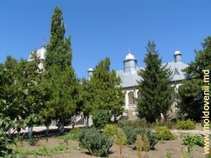 Curtea Mănăstirii Dobruşa, Şoldăneşti