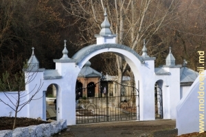 Calea de acces spre izvoarele Mănăstirii Japca
