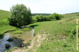 Rîul din apropierea satului Bleşteni