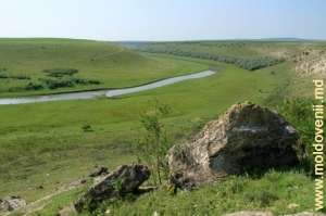 Долина Рэута у села Рогожень, Шолдэнешть