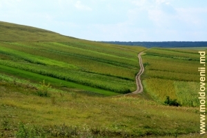 Дорога через поля на село Каракушений Векь, Бричень