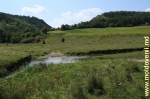 Река Лопатник за урочищем Борта Чунтулуй
