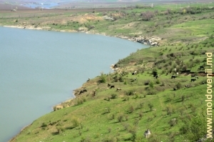 Водохранилище на реке Раковэц
