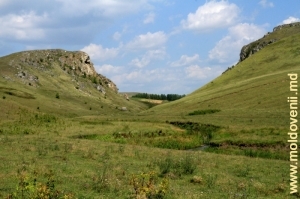 Ущелье в долине Лопатника ближе к селу Каракушений Векь