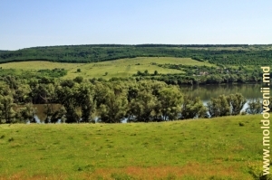 Lacul de acumulare de pe rîul Botna din preajma satului Ulmu, Ialoveni