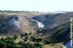Defileul şerpuitor din valea Răutului după satul Trebujeni, vedere spre nord-vest