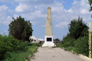 Монумент в честь героя Кагульской битвы подполковника графа Семена Воронцова