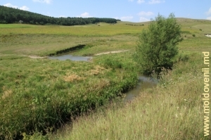 Изгибы реки Лопатник за селом Коржеуць