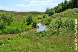 Rîul Botna în satul Ruseştii Noi, Ialoveni