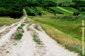 Дорога в долине Когыльника у села Гура Галбенэ, Чимишлия