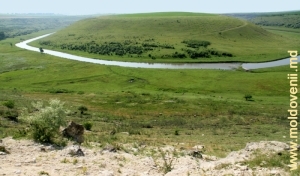 Живописная долина Рэута у села Рогожень, Шолдэнешть