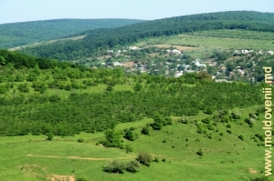 Вид с холма на село Табэра, Орхей 