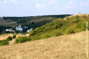 Vedere de pe panta dealului spre Mănăstirea Dobruşa, plan mediu