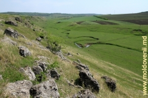 Вид на долину р. Каменка с вершины Бутештского рифа, дальний план
