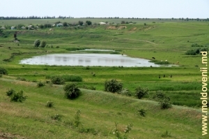 Lacul de acumulare de pe r. Cubolta, satul Mîndîc, Drochia