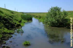 Rîul Cubolta din apropiere de satul Chetrosu