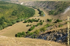 Vedere în direcţia nordică spre valea Răutului după satul Trebujeni, plan mediu