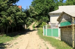 Улицы села Новачь