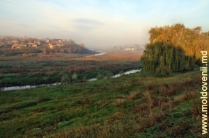 Река Рэут вблизи города Флорешть 