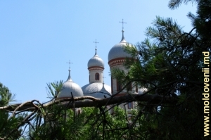 Купола собора в Дрокии 