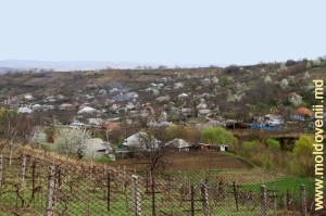Satul Hogineşti, Călăraşi
