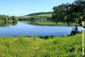 Lacul de acumulare de pe rîul Botna din preajma satului Ulmu, Ialoveni