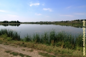 Lacul de acumulare de pe Răut, Floreşti