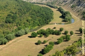 Vedere în direcţia nordică spre valea Răutului după satul Trebujeni, prim-plan