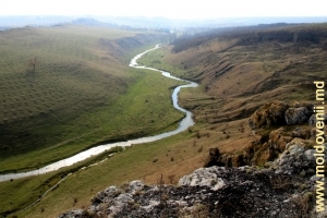 Река Раковэц в ущелье у села Брынзень, Единец