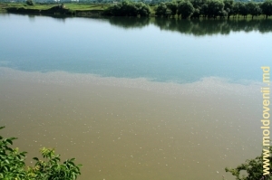 Воды Раута (снизу) и Днестра (сверху)