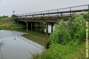 Когыльник и мост над рекою в городе Чимишлия
