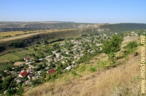 Vedere în direcţia vestică spre satul Trebujeni, plan îndepărtat