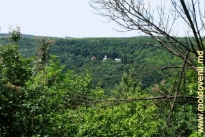 Vedere spre mănăstirea Rudi de la monumentul „Trei cruci”, raionul Soroca, plan îndepărtat