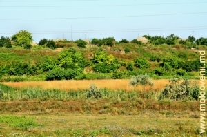 Вид на Паланку с украинского участка дороги