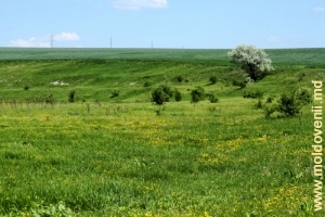 Valea rîului Cubolta între satele Plop şi Maramonovca
