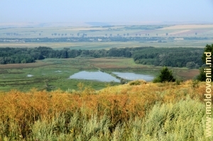 Припрутская равнина в Леовском районе