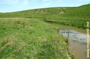 Rîul Bogda de-a lungul drumului dintre satul Bleşteni şi carieră