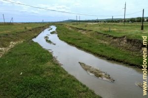 Река Когыльник у села Иордановка, Басарабяска