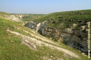 Defileul, format de un afluent vremelnic al Răutului în preajma satului Ştefăneşti