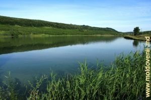 Третье водохранилище на реке Когыльник у села Чучулень