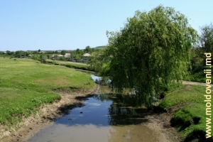 Река Каменка у села Кобань