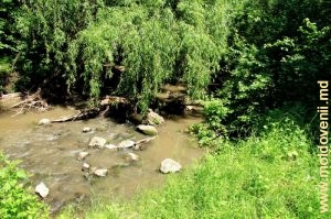 Река Лопатник в верхней части ущелья Борта Чунтулуй