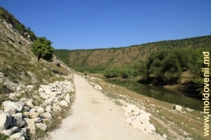 Drumul din valea Răutului, de-a lungul rîului de după satul Trebujeni