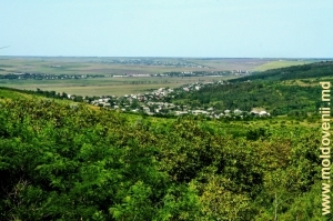 Peisaj în raionul Ştefan Vodă