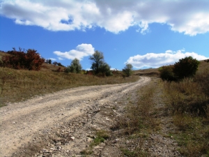Drumul în direcţia satului Lencăuţi