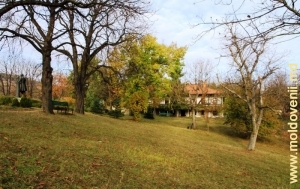 Вид на усадьбу Рали и памятник Пушкину через парк. Осень