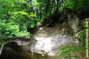 Верхняя часть иссякшего водопада в лесу вблизи монастыря Рудь, Сорока