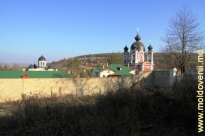Mănăstirea Curchi, vedere de pe panta sudică a colinei, noiembrie 2011