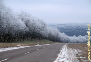 Зимняя дорога на Леушены в районе Хынчешть